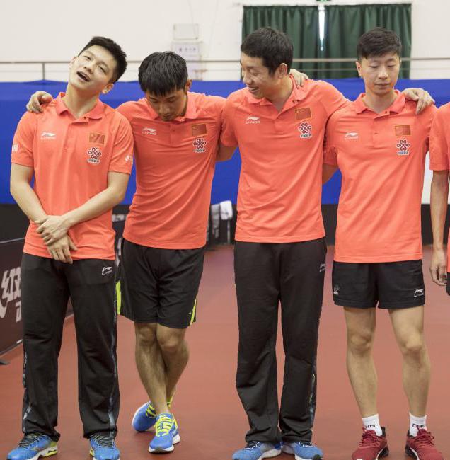 葡萄牙队逆转奥地利队，许昕统治全场的简单介绍