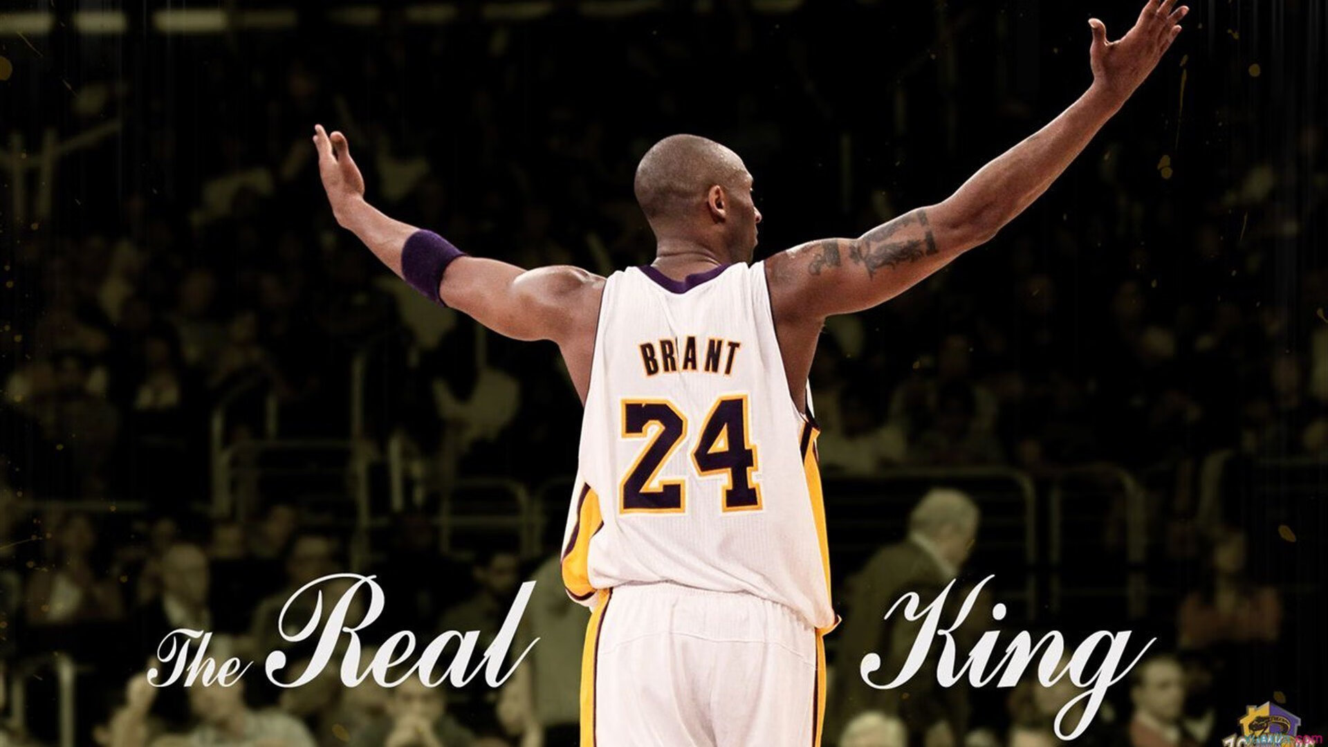 文班亚马爆发震撼联盟，太阳生死战取胜尼克斯燃希望