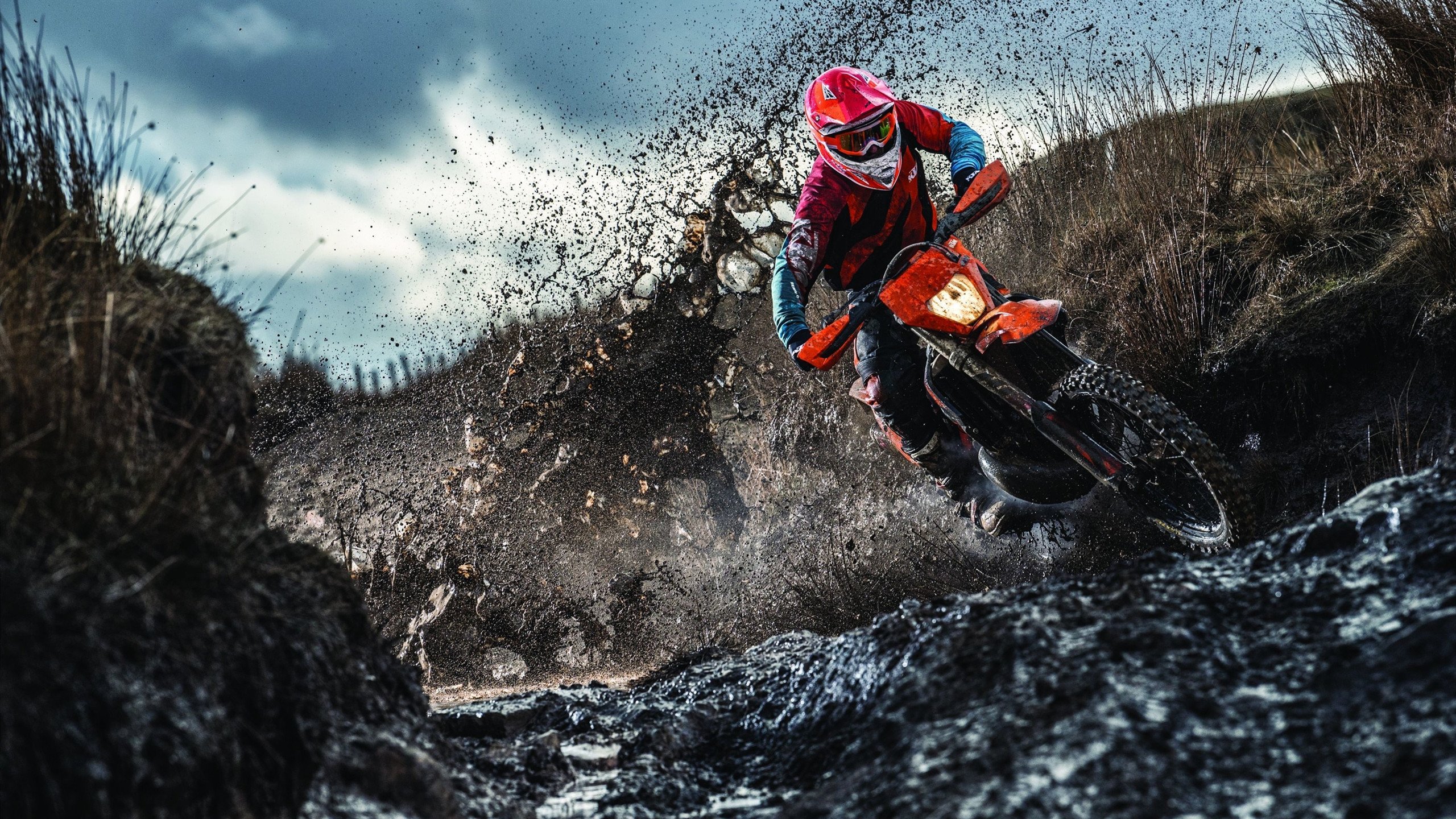 足球场上的张继科时刻,英格兰惊天逆转夜,看台上那颗火热的心